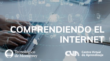 Comprendiendo el Internet